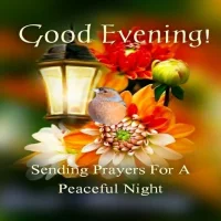 Good evening!
