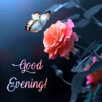 Good Evening Images & Quotes